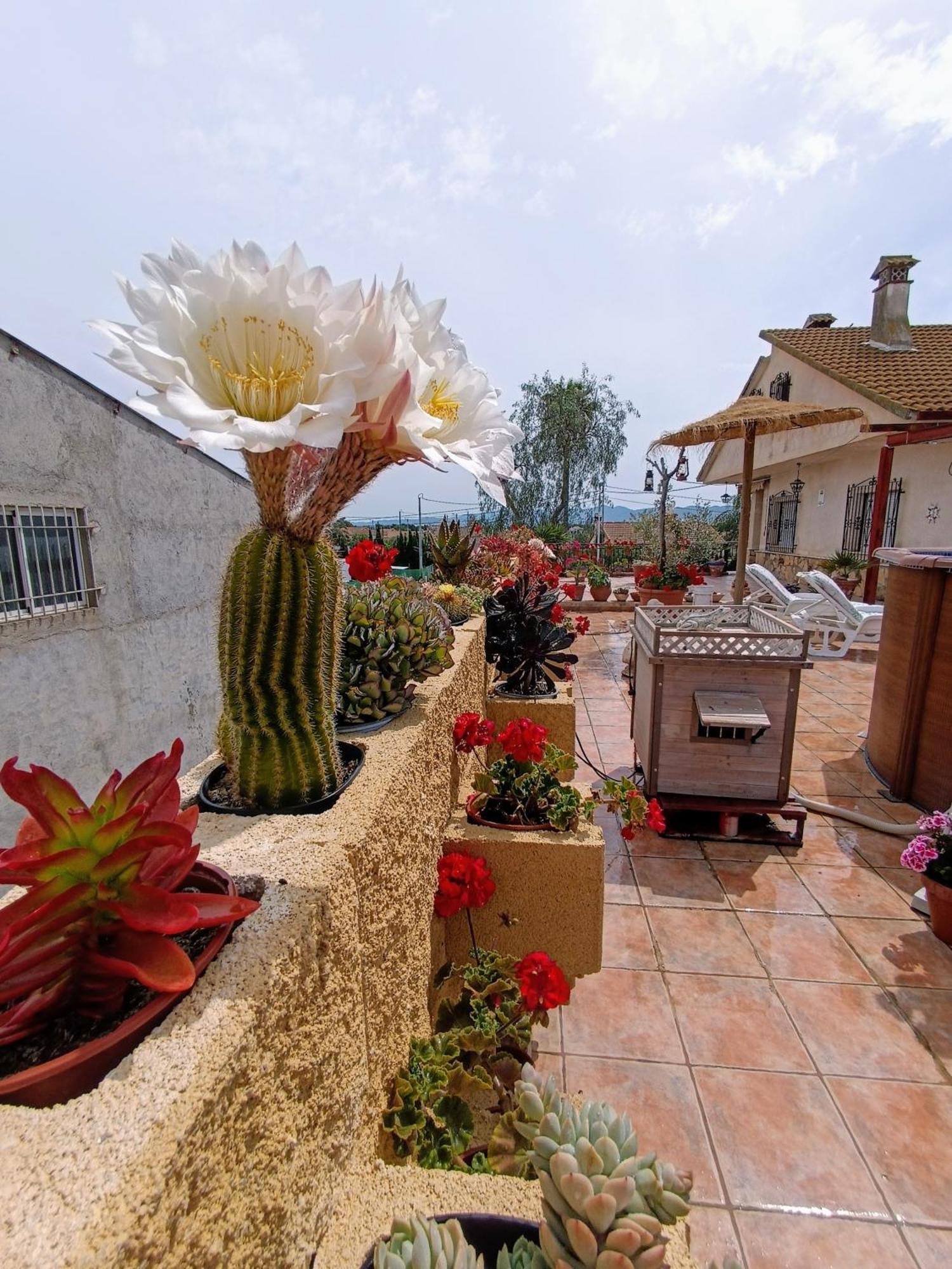 Casa Chalet Venta Ruizo Lorca  Eksteriør bilde